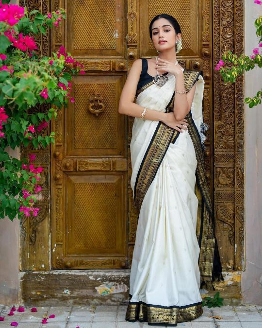 Aab Onamnx Soft Lichi Silk Fancy Saree Wholesale Catalog