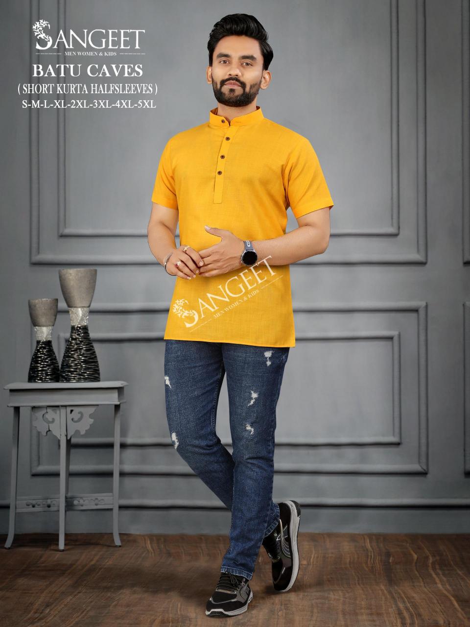 Sangeet Batu Caves Half Sleeves 1 cotton mens t shirt wholesale in surat