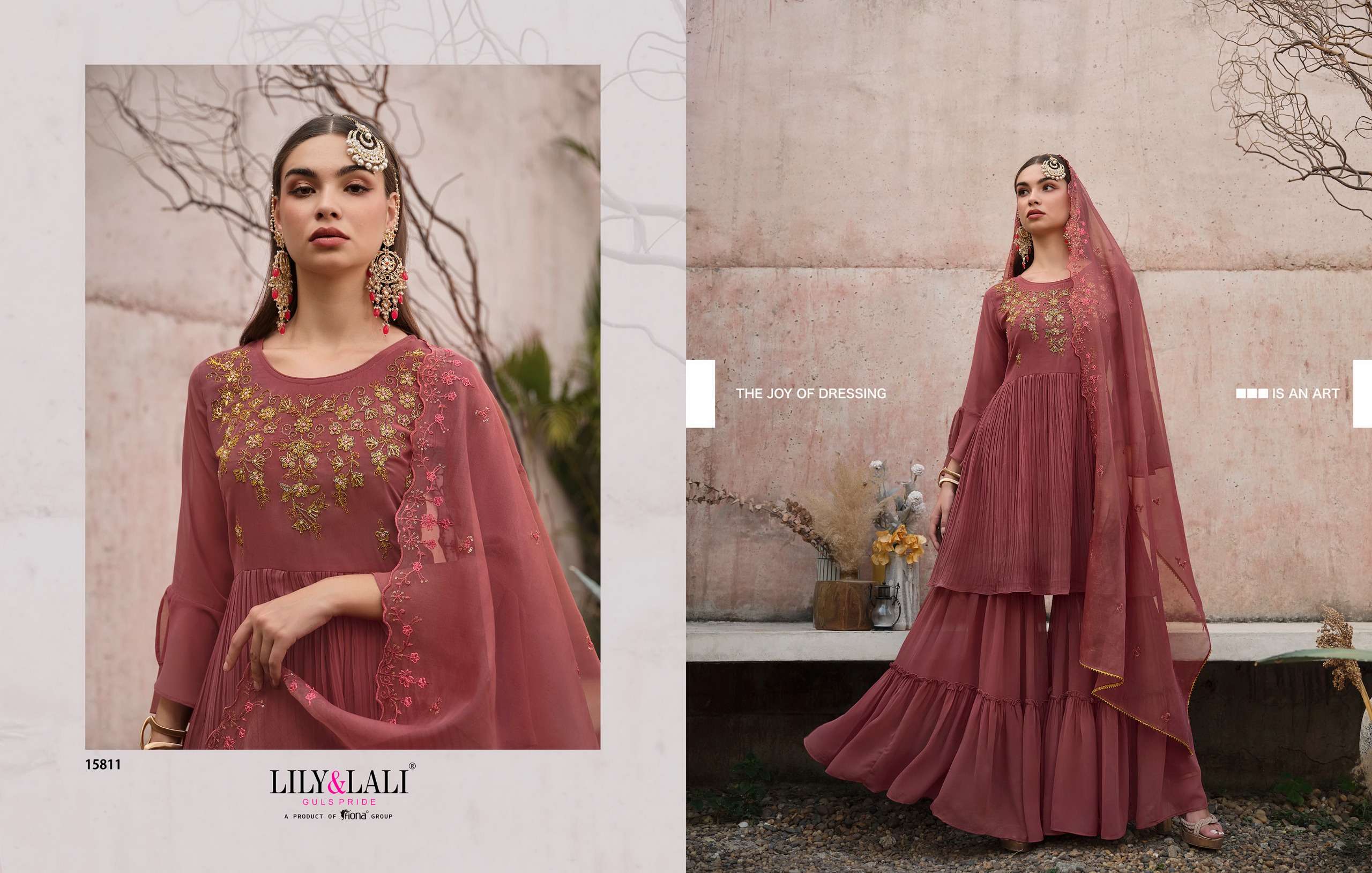 LILY & LALI DIDAAR Salwar Kameez Wholesale catalog