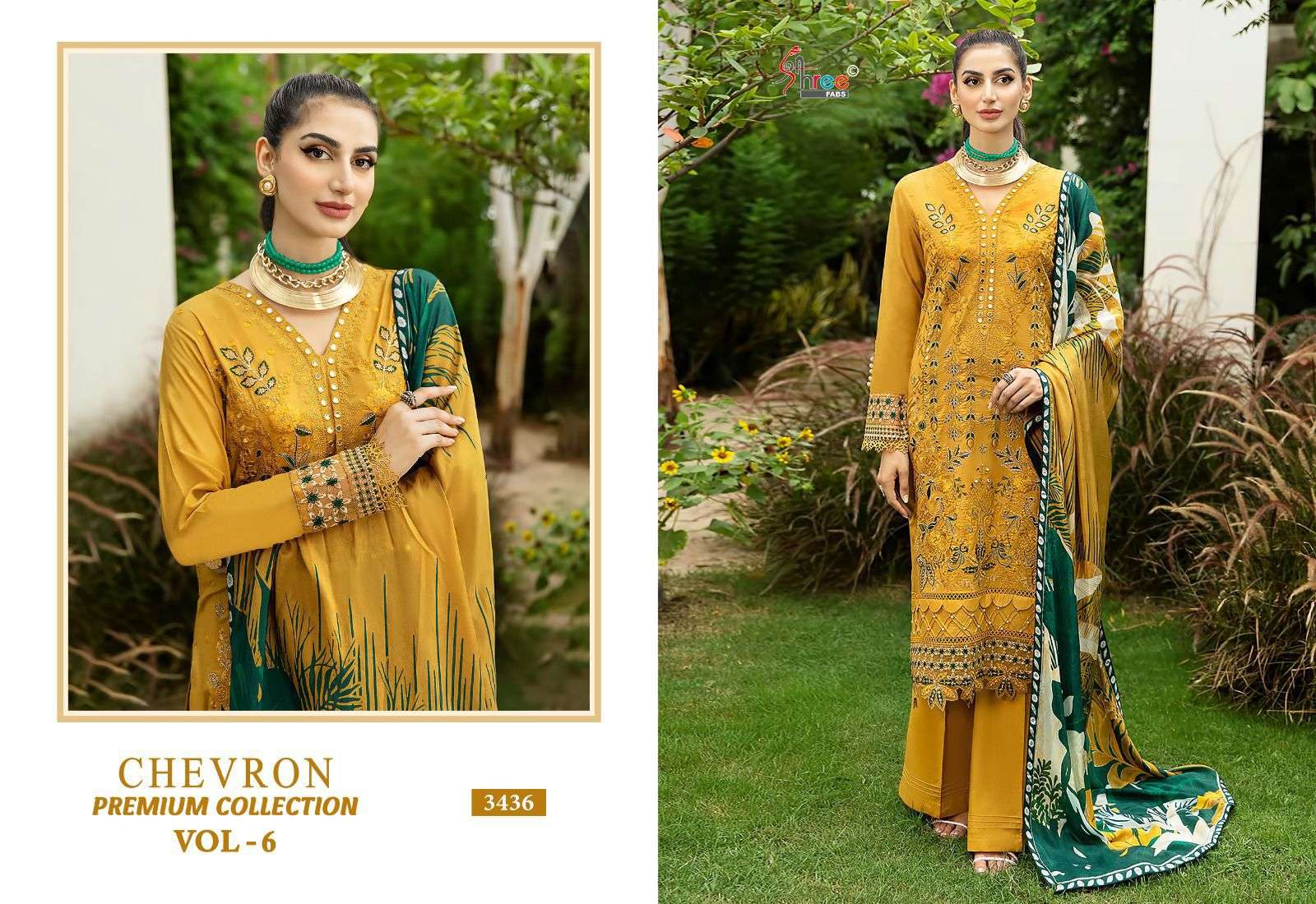 Shree Chevron Vol 6 Chiffon Dupatta Pakistani Suits wholesale catalog