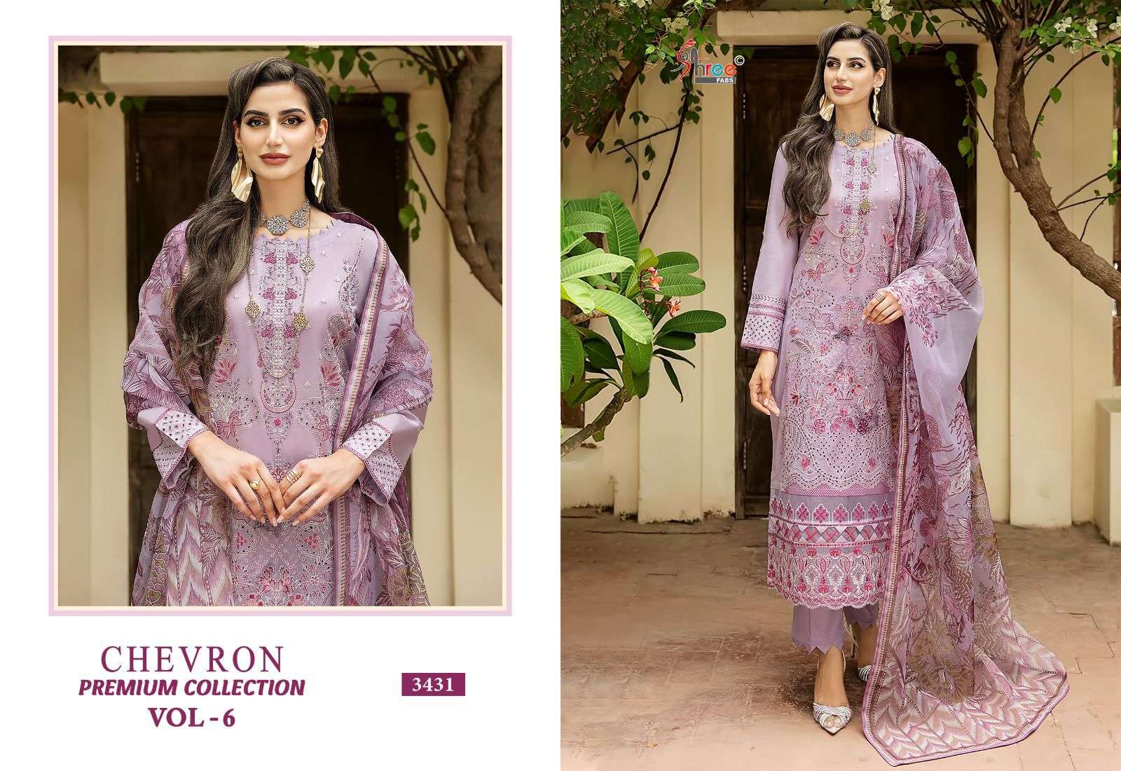 Shree Chevron Vol 6 Chiffon Dupatta Pakistani Suits wholesale catalog