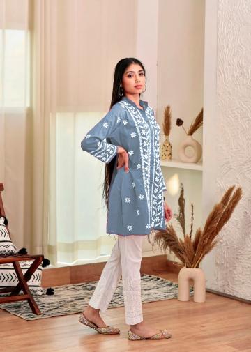 RASILI NX THANIYA Kurti Wholesale catalog