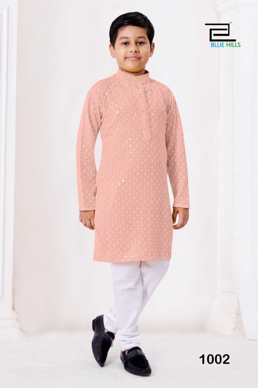 Prince Vol 2 Chikankari Kids Wear Kurta wholesale catalog