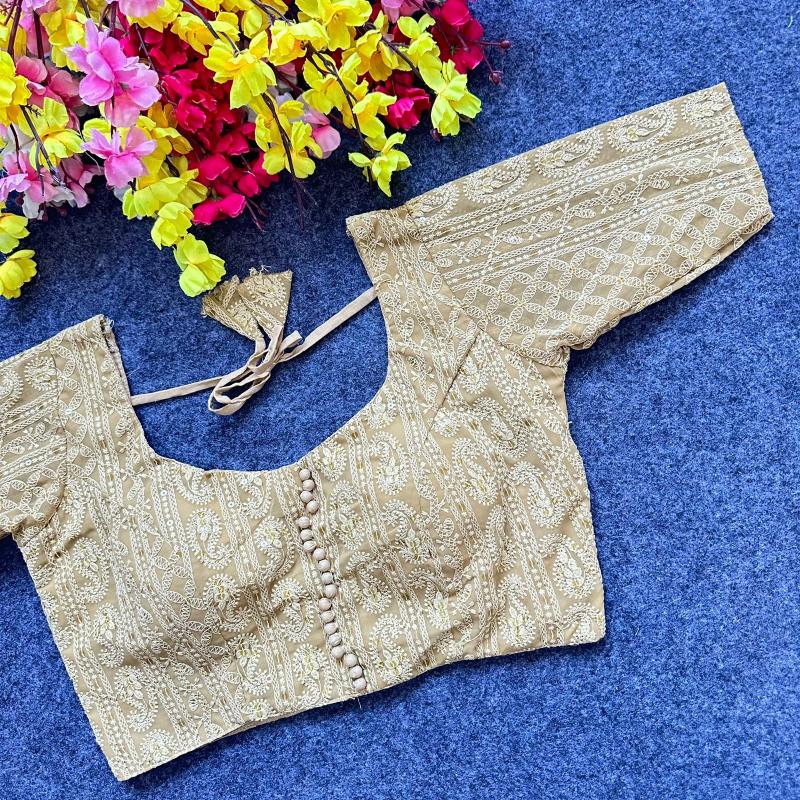 Blousewala Lucknowi Blouse