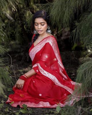 Sabella Banarasi 4036 designer cotton sarees online india