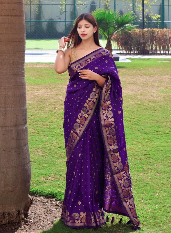 Dazira D 9011 Catalog different saree styles in india