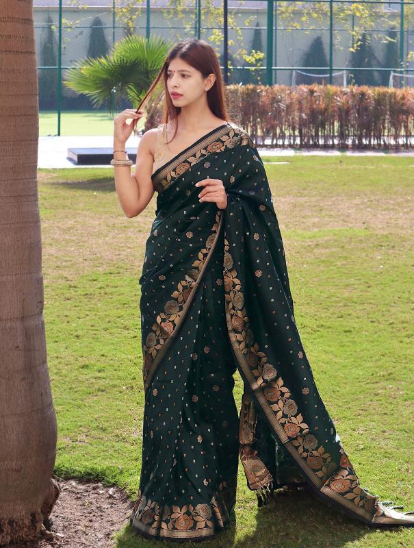 Dazira D 9011 Catalog different saree styles in india