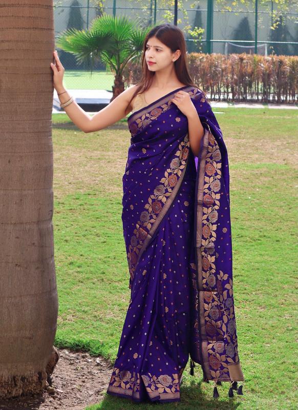 Dazira D 9011 Catalog different saree styles in india