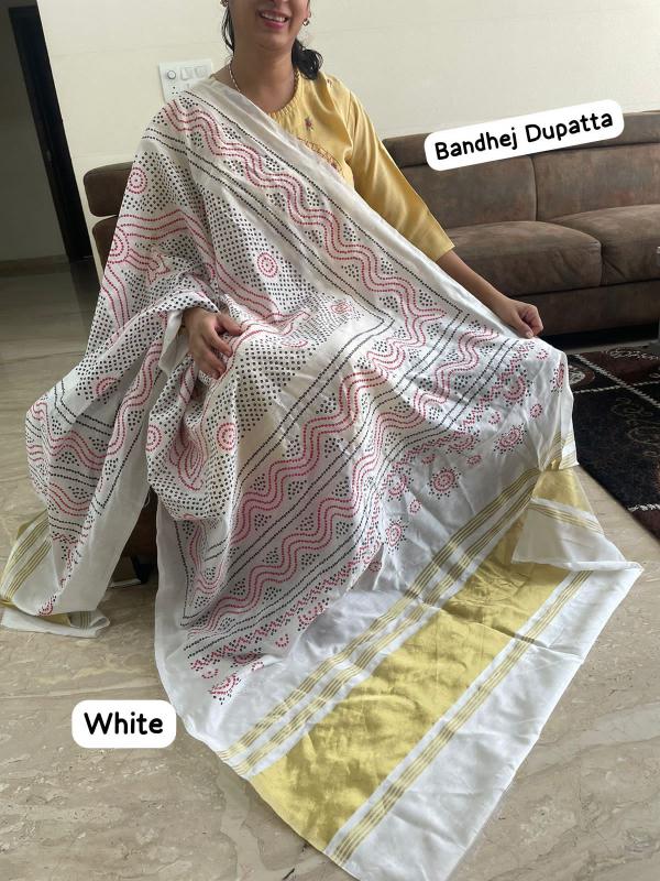 Banno Dupatta vol 3.0 catalog Dupatta wholesaler