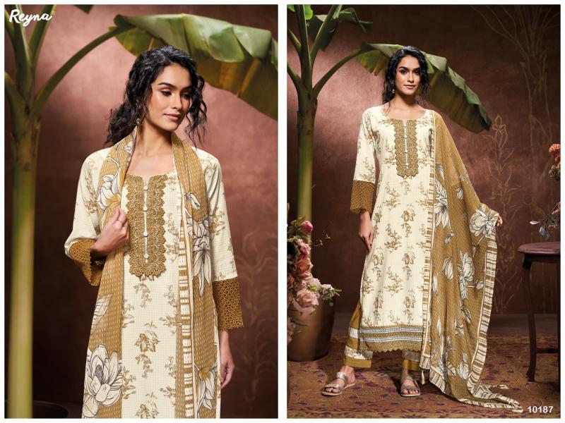 Reyna Janhvi catalog salwar kameez material wholesale